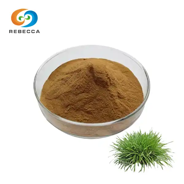 Organic Horsetail Powder